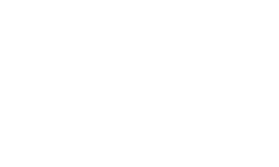 Absolute_Security white 