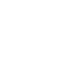 large-absolute security shield